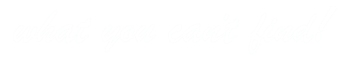 stimline_logotype_find_50